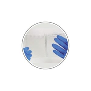 Electroferesis y transferencia