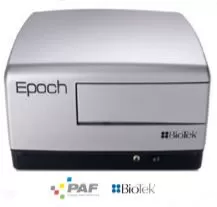 Epoch