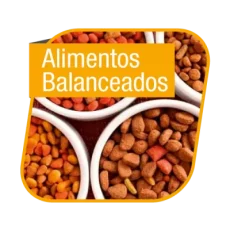 Alimentos balanceados