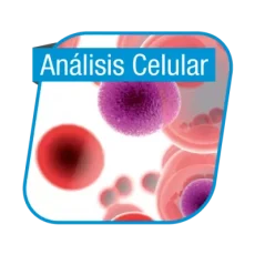 Análisis celular