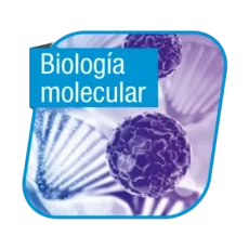 Biología Molecular