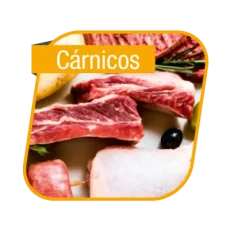 Cárnicos