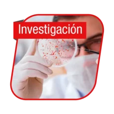 Investigación