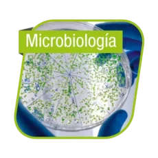 Microbiología indu quimica