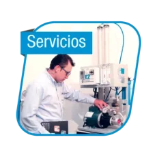 Servicios edu