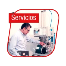 Servicios