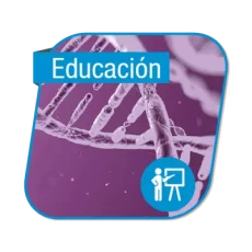 educación