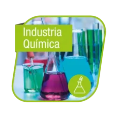 ind quimica
